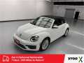 Photo Used 2019 Volkswagen Beetle 2.0T Final Edition SE