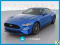 Photo Used 2019 Ford Mustang Coupe w/ Equipment Group 101A