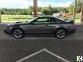 Photo Used 2003 Ford Mustang GT