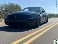 Photo Used 2004 Ford Mustang Cobra
