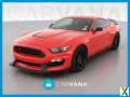 Photo Used 2019 Ford Mustang Shelby GT350R w/ GT350R Equipment Group 920A