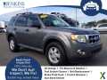 Photo Used 2009 Ford Escape XLT