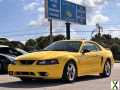 Photo Used 2001 Ford Mustang Cobra