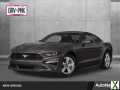 Photo Used 2020 Ford Mustang GT Premium w/ Equipment Group 401A