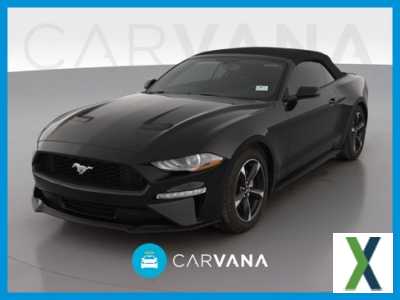 Photo Used 2019 Ford Mustang Convertible w/ Equipment Group 101A