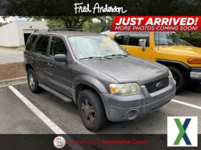 Photo Used 2005 Ford Escape XLS