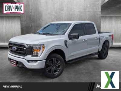 Photo Used 2023 Ford F150 XLT w/ Equipment Group 302A High