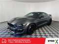 Photo Used 2017 Ford Mustang Shelby GT350 w/ Electronics Package