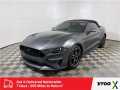 Photo Used 2019 Ford Mustang GT Premium w/ Equipment Group 401A