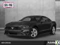 Photo Used 2019 Ford Mustang GT Premium w/ Equipment Group 401A