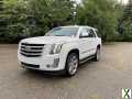 Photo Used 2019 Cadillac Escalade Luxury