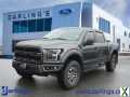 Photo Used 2019 Ford F150 Raptor w/ Equipment Group 801A Mid