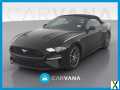 Photo Used 2018 Ford Mustang Convertible w/ Equipment Group 101A
