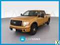 Photo Used 2009 Ford F150 FX4