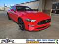 Photo Used 2021 Ford Mustang Coupe w/ Equipment Group 101A