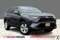 Photo Used 2019 Toyota RAV4 LE