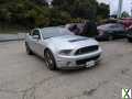 Photo Used 2011 Ford Mustang Shelby GT500 w/ Electronics Pkg