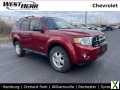 Photo Used 2008 Ford Escape XLT