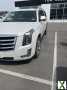 Photo Used 2020 Cadillac Escalade ESV Premium Luxury