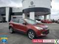 Photo Used 2014 Ford Escape SE