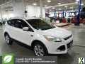 Photo Used 2014 Ford Escape Titanium