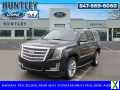 Photo Used 2019 Cadillac Escalade Luxury w/ LPO, Radiant Package