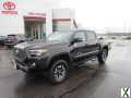 Photo Used 2020 Toyota Tacoma TRD Off-Road