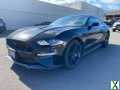 Photo Used 2019 Ford Mustang GT w/ Equipment Group 301A