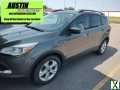 Photo Used 2014 Ford Escape SE w/ Equipment Group 201A