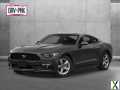 Photo Used 2015 Ford Mustang Premium