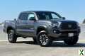 Photo Used 2023 Toyota Tacoma TRD Off-Road w/ Technology Package