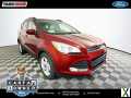 Photo Used 2015 Ford Escape SE w/ Equipment Group 201A
