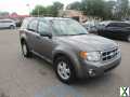 Photo Used 2010 Ford Escape XLT