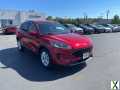 Photo Used 2020 Ford Escape SE