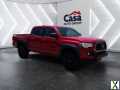 Photo Used 2023 Toyota Tacoma SR5