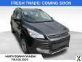 Photo Used 2016 Ford Escape SE w/ Equipment Group 201A