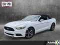 Photo Used 2017 Ford Mustang Convertible w/ Equipment Group 051A