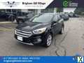 Photo Used 2019 Ford Escape Titanium