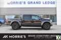 Photo Used 2018 Ford F150 Raptor w/ Equipment Group 802A Luxury