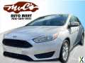 Photo Used 2015 Ford Focus SE