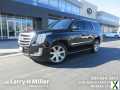 Photo Used 2019 Cadillac Escalade Luxury