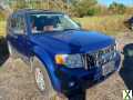 Photo Used 2008 Ford Escape XLT