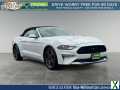 Photo Used 2021 Ford Mustang Premium