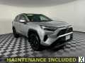 Photo Used 2024 Toyota RAV4 SE