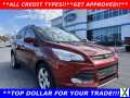 Photo Used 2016 Ford Escape SE w/ Equipment Group 201A