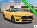 Photo Certified 2024 Ford Mustang Premium