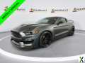 Photo Used 2017 Ford Mustang Shelby GT350R w/ GT350R Equipment Group 920A