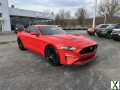 Photo Used 2019 Ford Mustang GT Premium w/ GT Performance Package