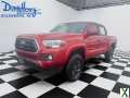 Photo Used 2023 Toyota Tacoma SR5
