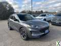 Photo Used 2022 Ford Escape SE w/ SE Sport Appearance Package